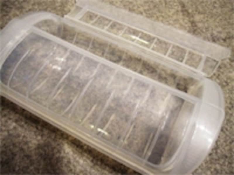 人気の電子調理器具「LuKue スチームケース」。蒸し料理が手軽に作れます