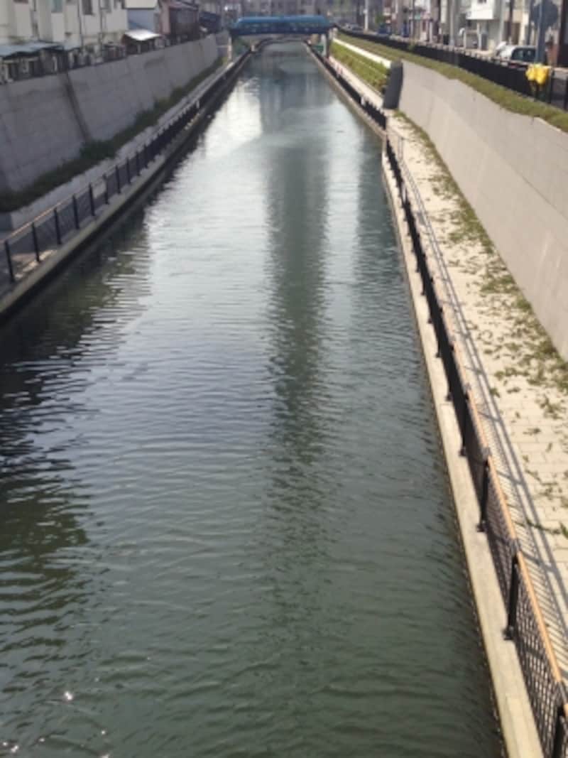 波立つ逆さスカイツリー