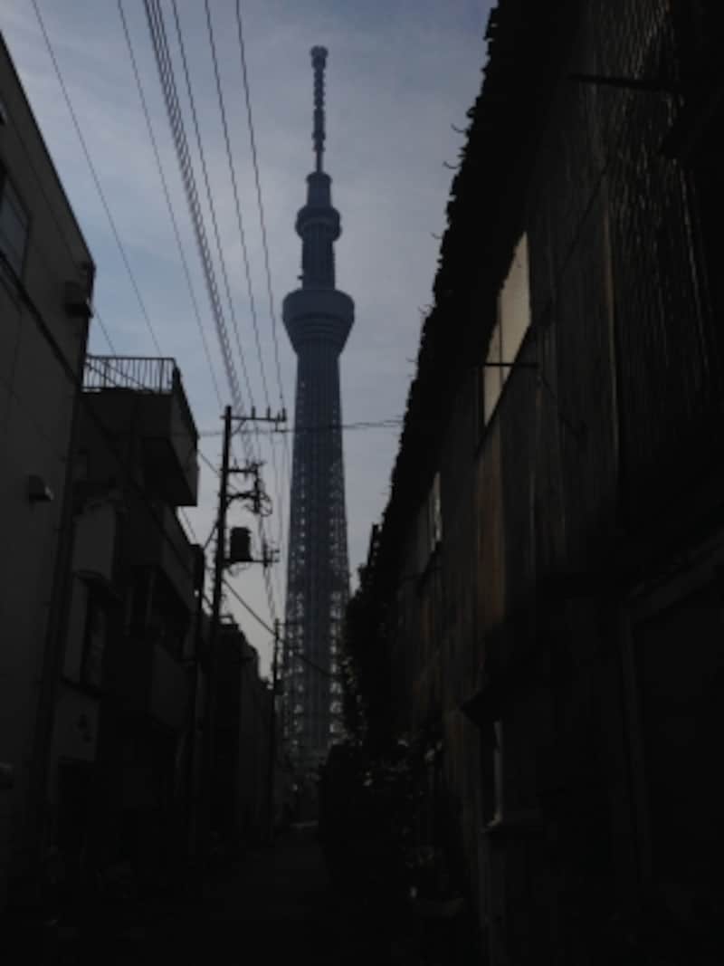 路地から観た東京スカイツリー