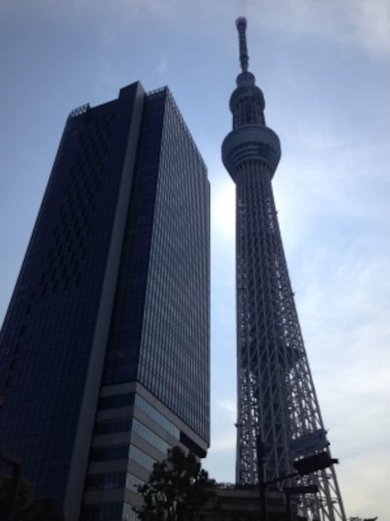 逆光の東京スカイツリーと東京スカイツリーイーストタワー