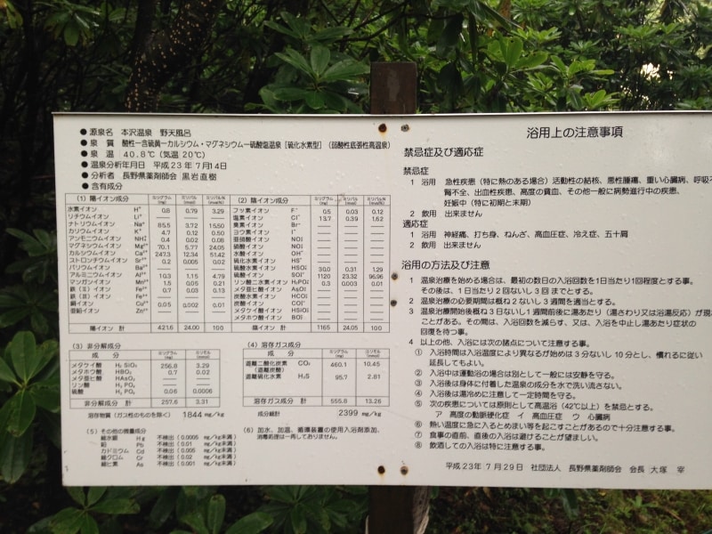 本沢温泉雲上の湯分析表