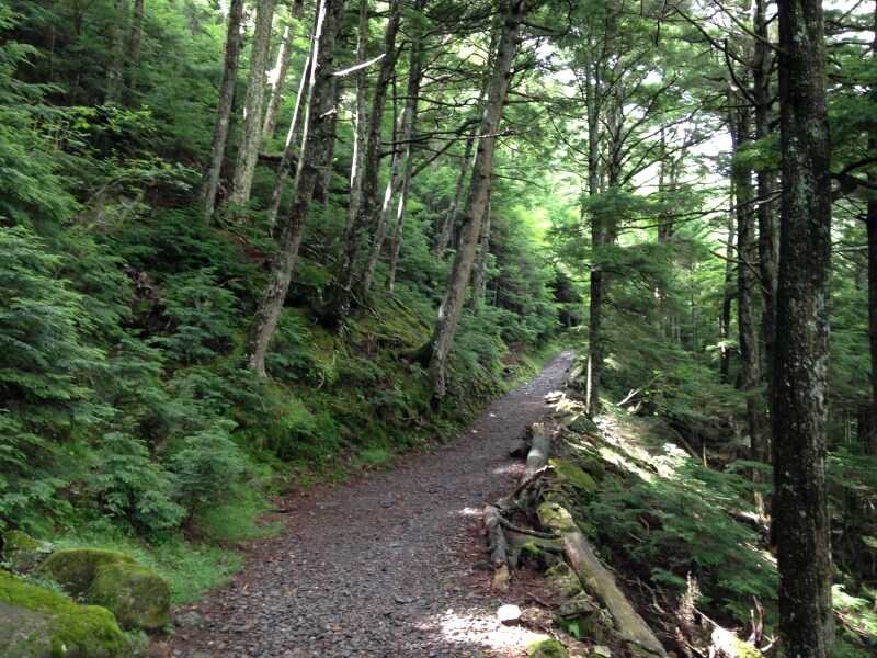 気持ちよい登山道