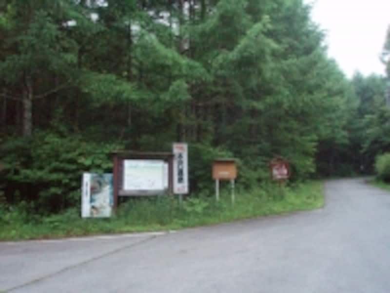 本沢林道への分岐点