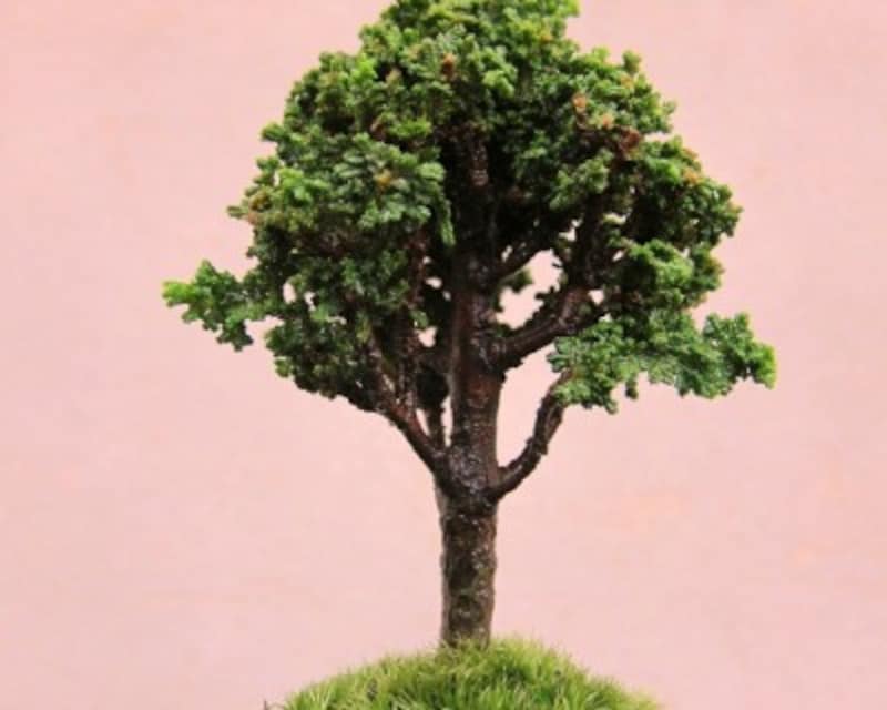 自分が1センチくらいの人になったつもりで