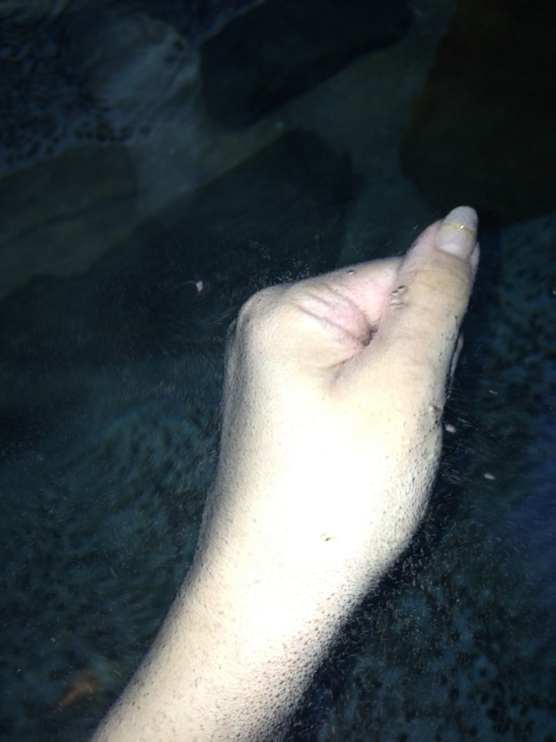 アワアワの硫黄泉