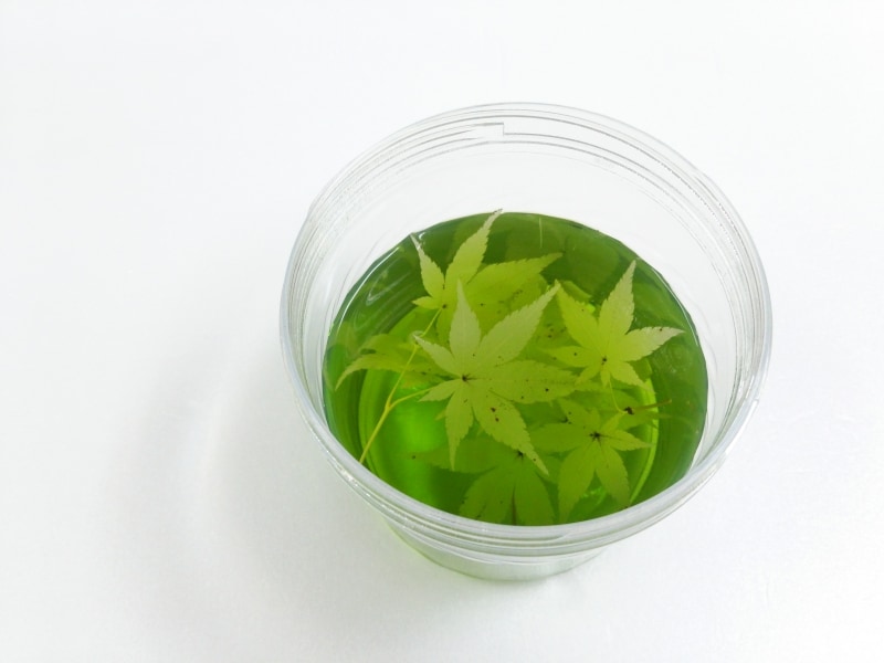 もみじのプリザーブドフラワー