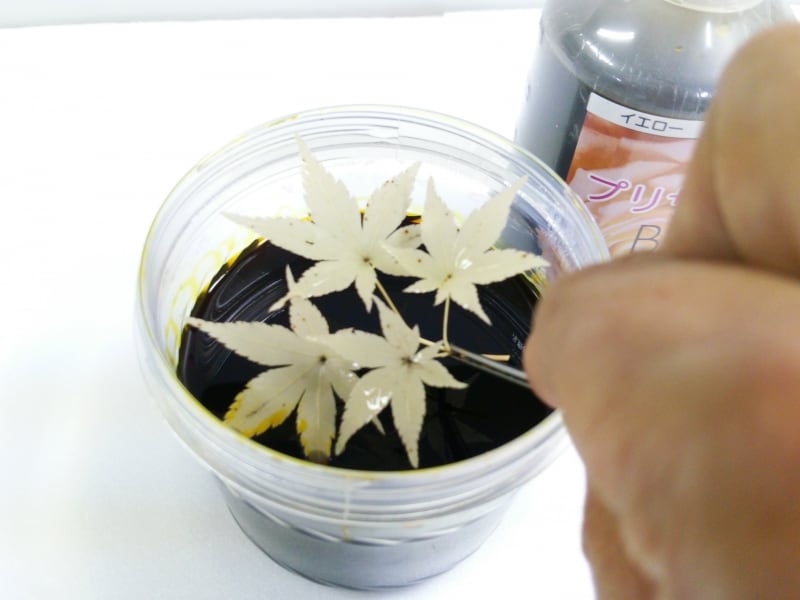 もみじのプリザーブドフラワー