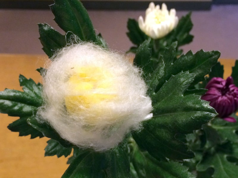 後の雛・秋の雛 重陽の節句 被せ綿