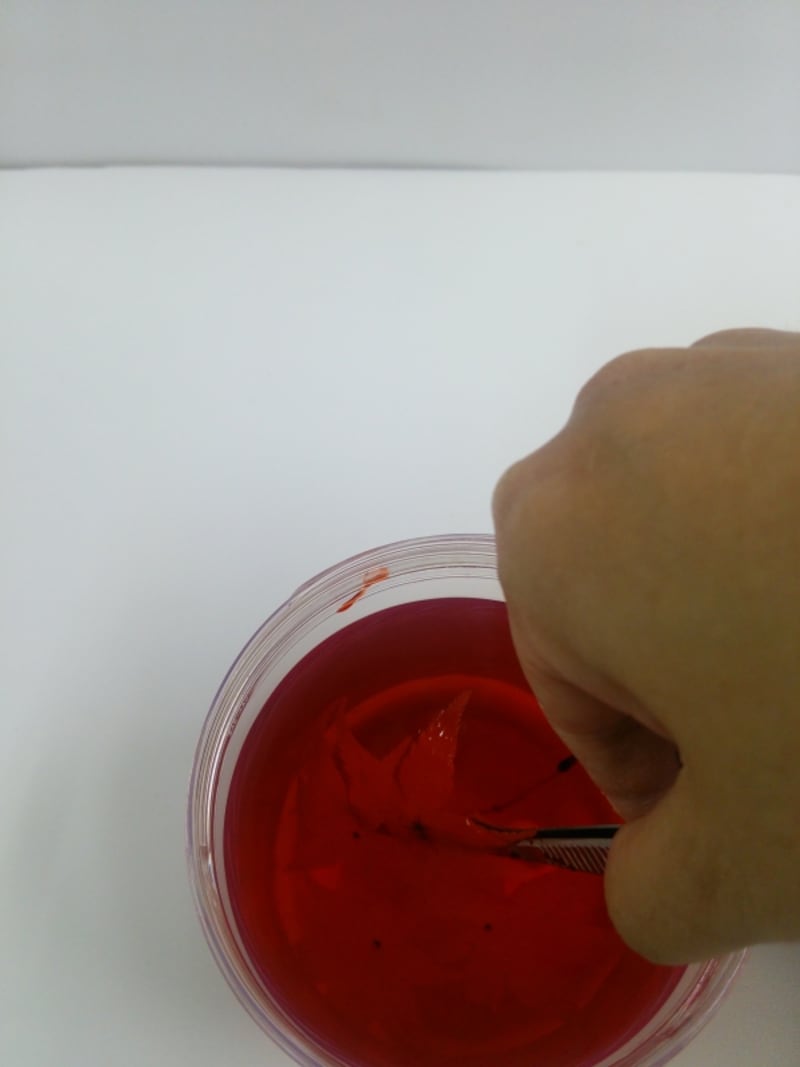 もみじのプリザ加工