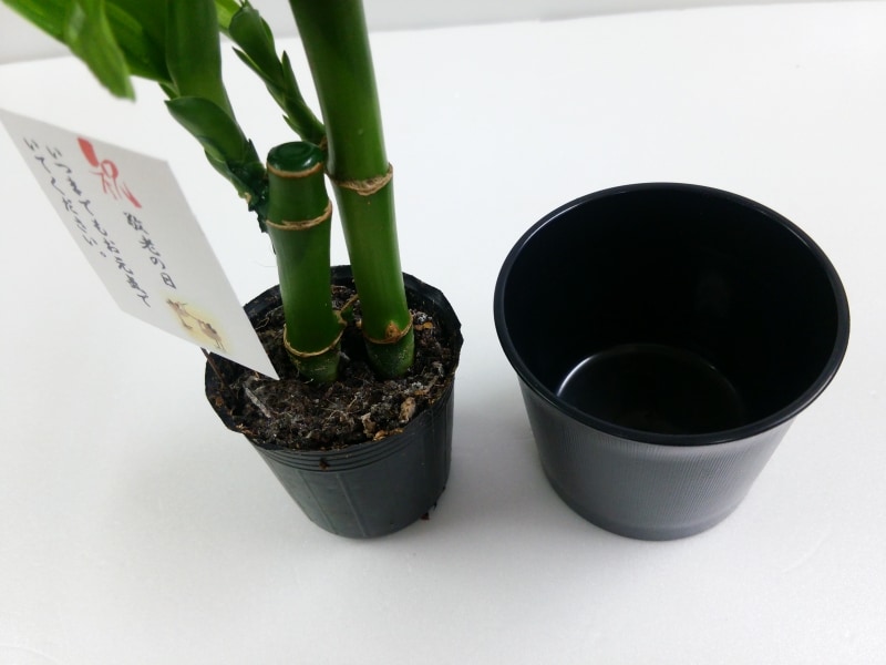 もみじのプリザーブドアレンジ「和」