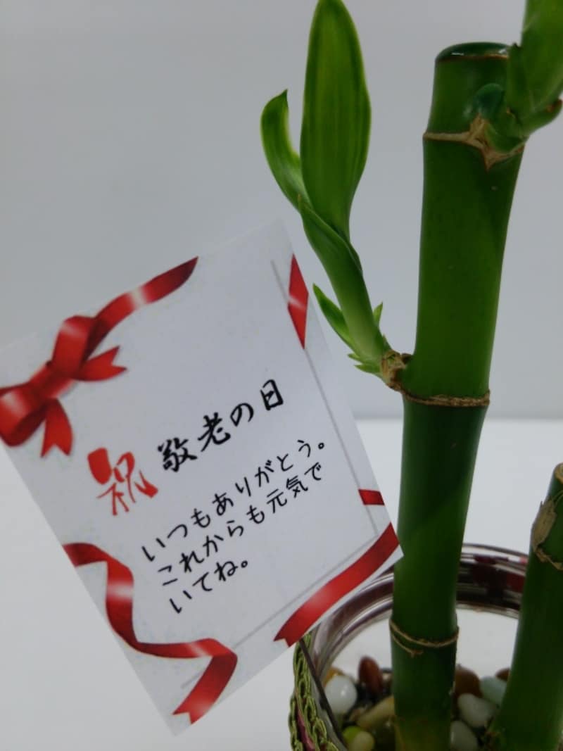 もみじのプリザアレンジ「洋」