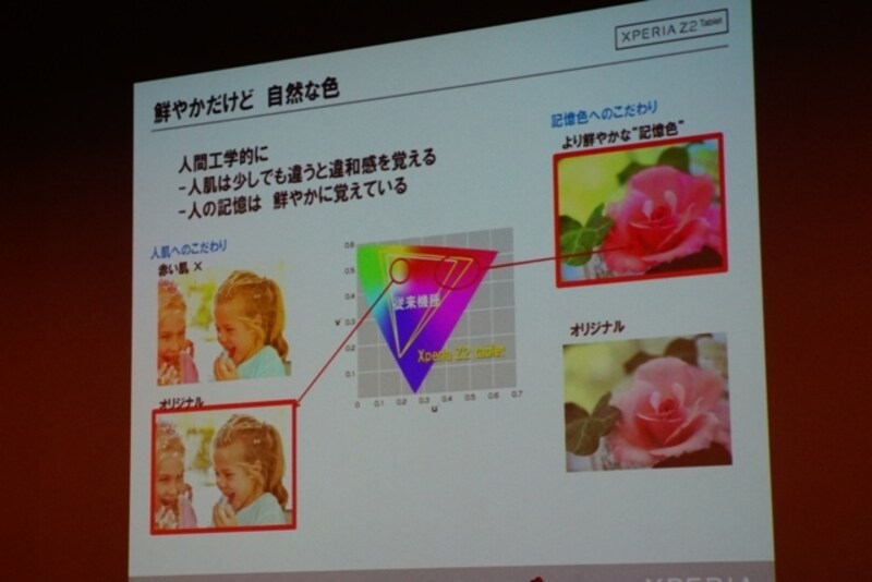 ディスプレイの発色は、鮮やかで自然な色を実現しています。