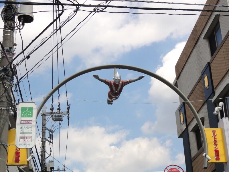 下から見上げていると、不思議な気分になる。
