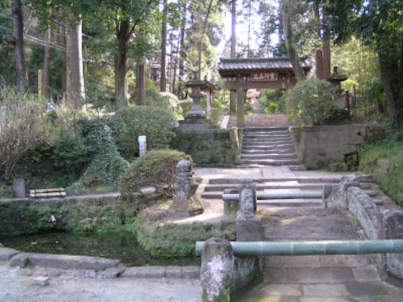 苔むした池の左手に甘露の井が