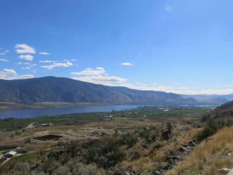 オソヨース湖の周囲に広がる町の全景
