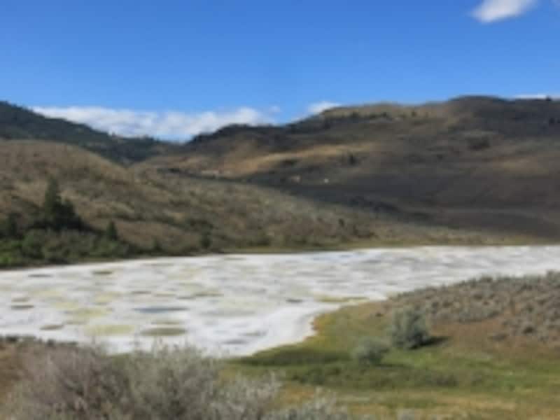 その昔、先住民たちの崇拝対象になったスポッテドレイク