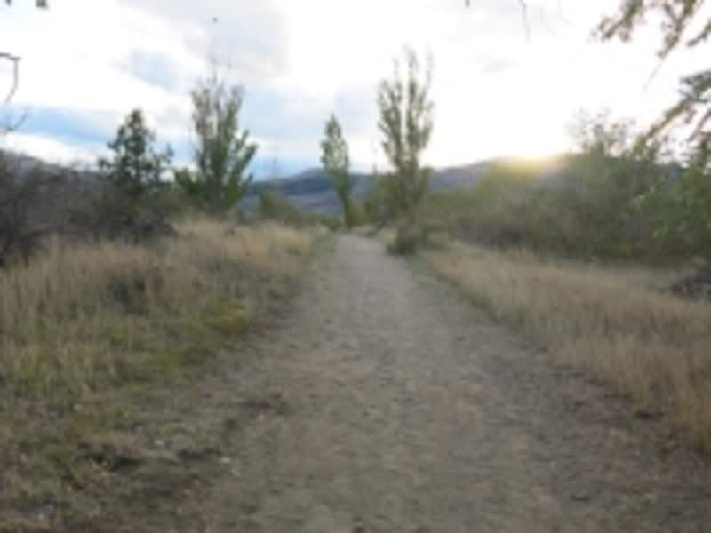 湖畔にあるトレイルでも、乾燥してカラカラ