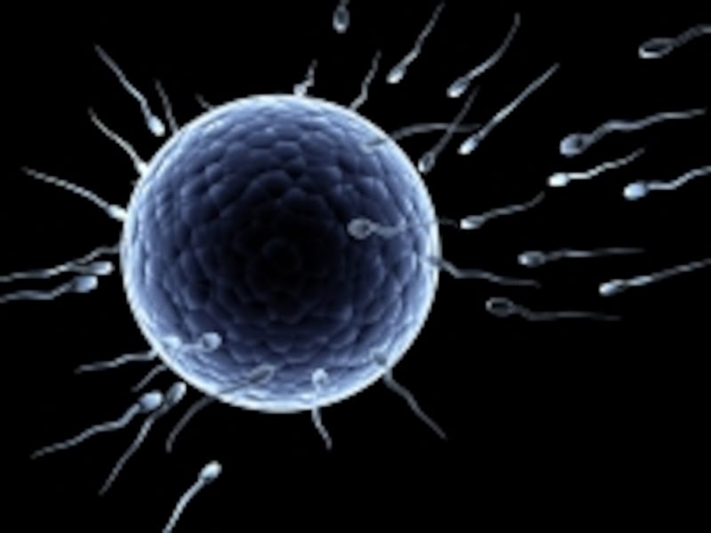 IVF
