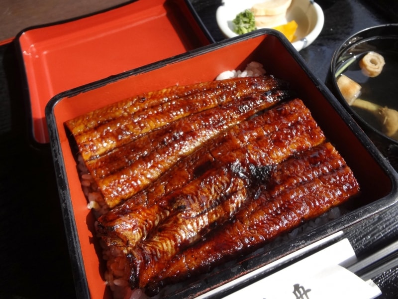 うなぎ家曳舟うな重並2600円