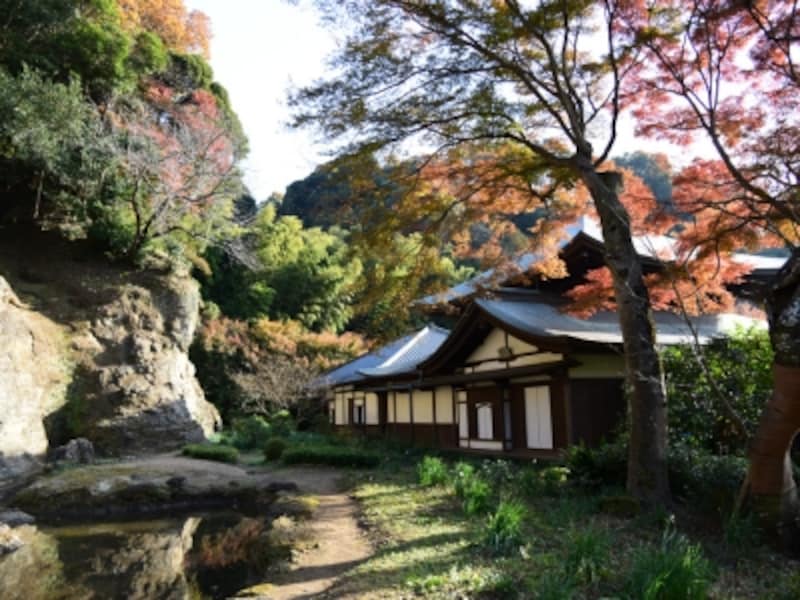 瑞泉寺の紅葉と石庭