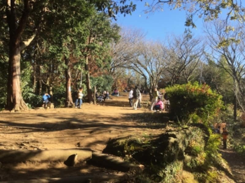 「天園 峠の茶屋」があった場所は、現在、更地になっています(2016年12月11日撮影)
