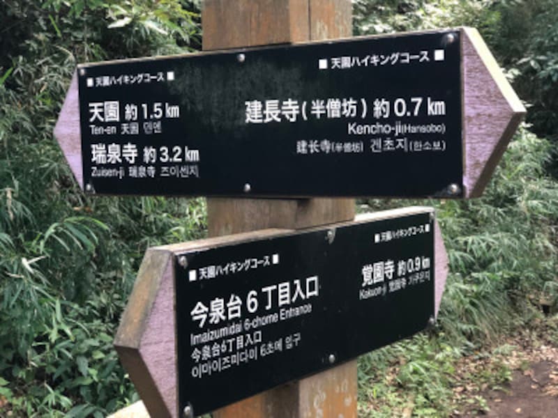 鎌倉アルプス 天園ハイキングコース を歩こう 鎌倉 江ノ島の観光 旅行 All About
