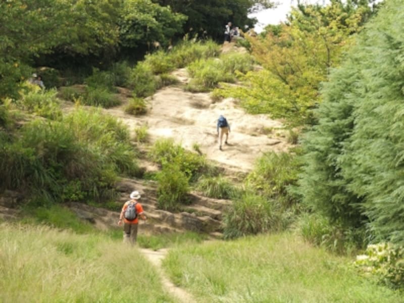 大平山山頂を下から眺めたところ