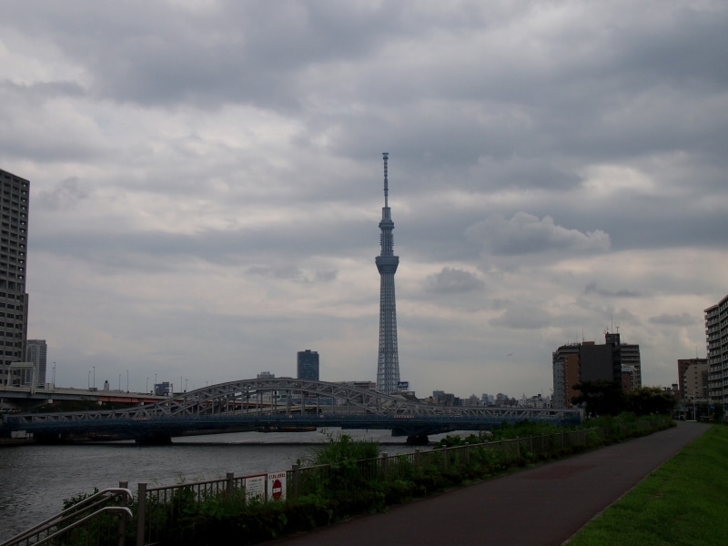 なんとも空模様が怪しくなってきた