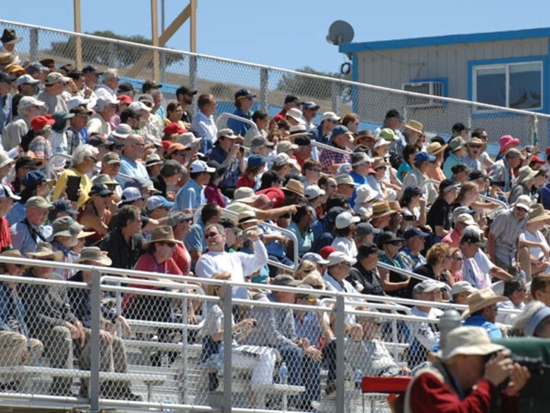 モンテレー・ウィークエンド