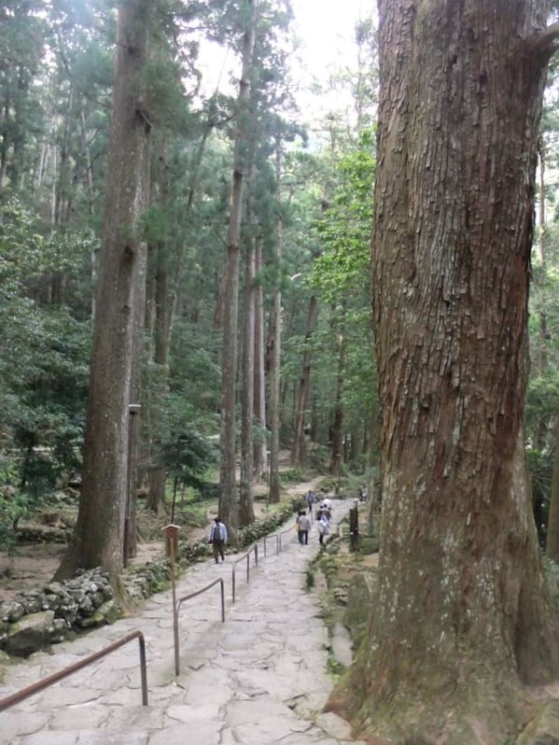 那智の滝・飛瀧神社(3)/滝へ向かう参道