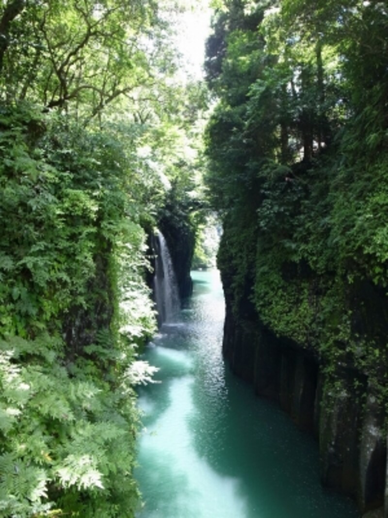 takachihokyo