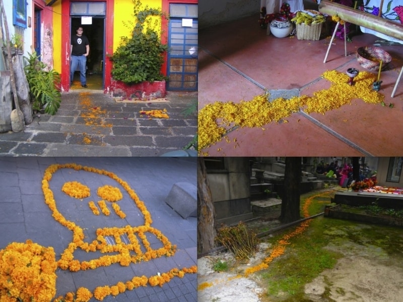 故人の魂を導くセンパスチルの花びら