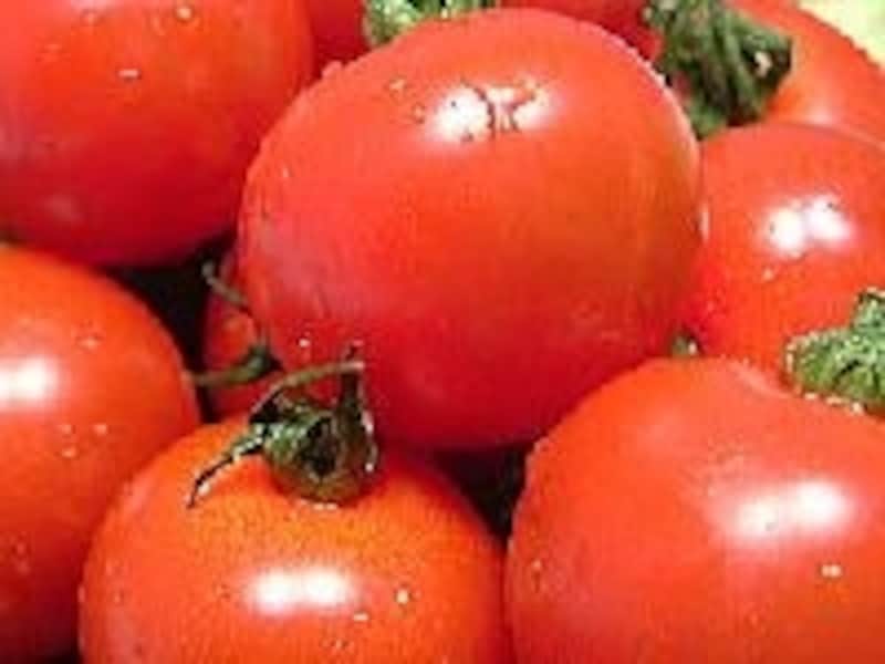 トマトの素晴らしいアンチエイジング効果とは？