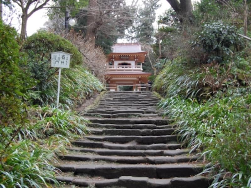 浄智寺山門への石段