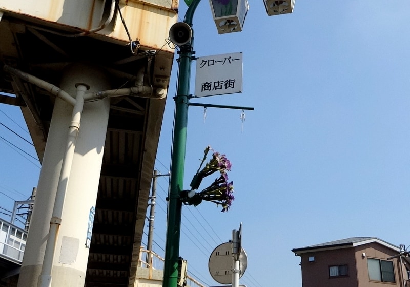 街路灯に生花というのを初めて見た