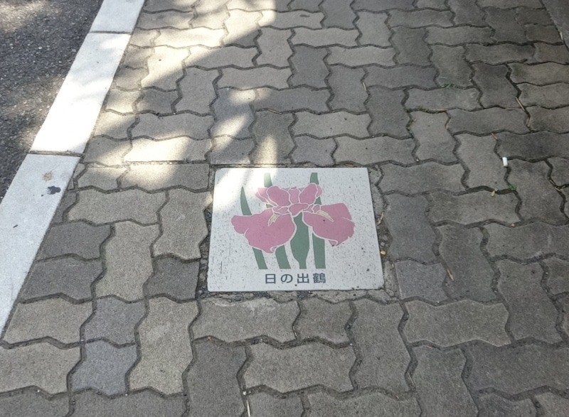 見ながら歩くのも楽しい