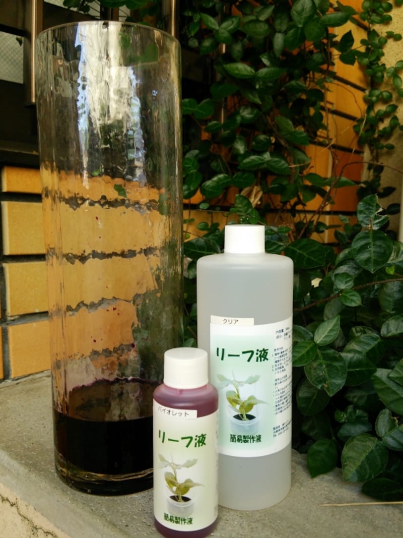 ススキのプリザ