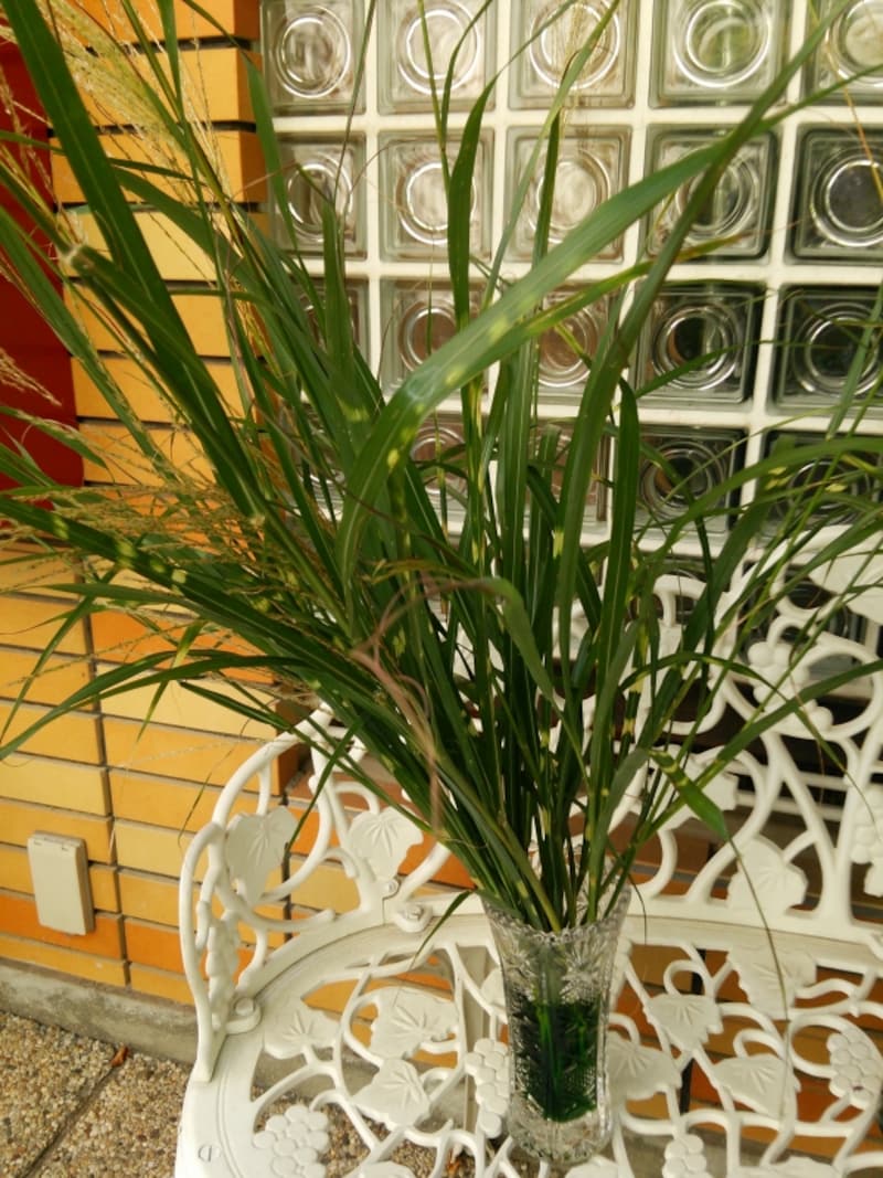 ススキのプリザ