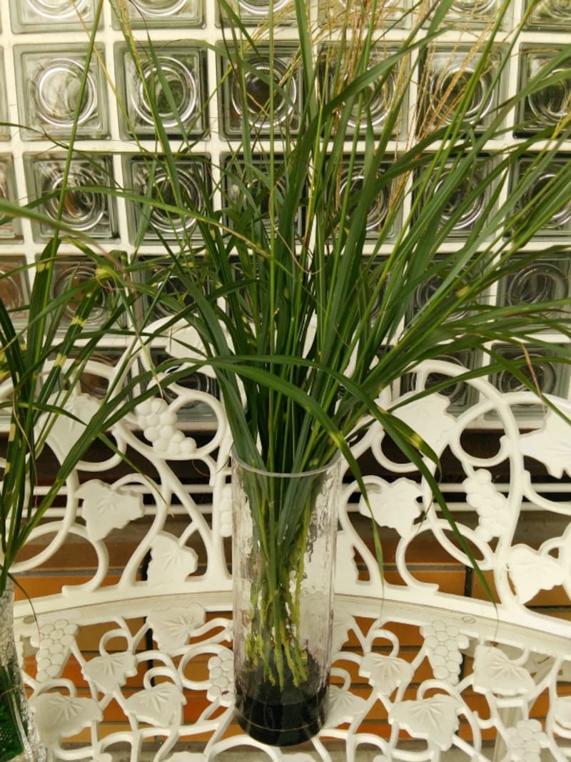 ススキのプリザ