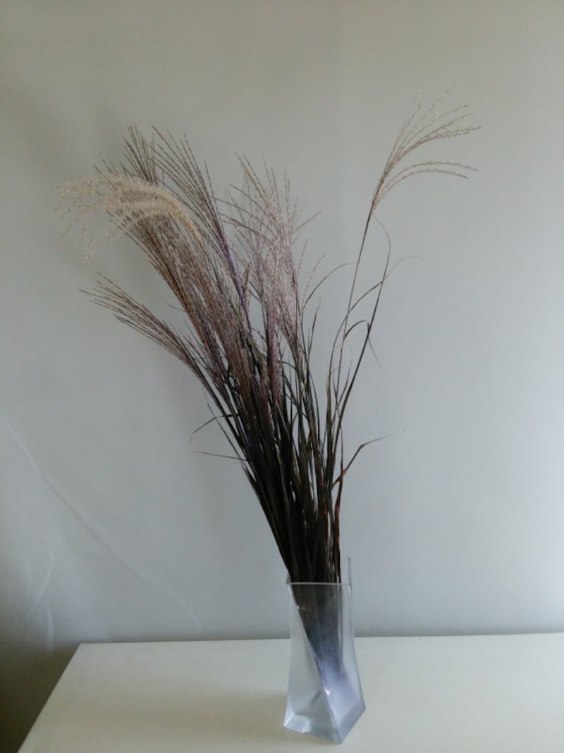 ススキのプリザ