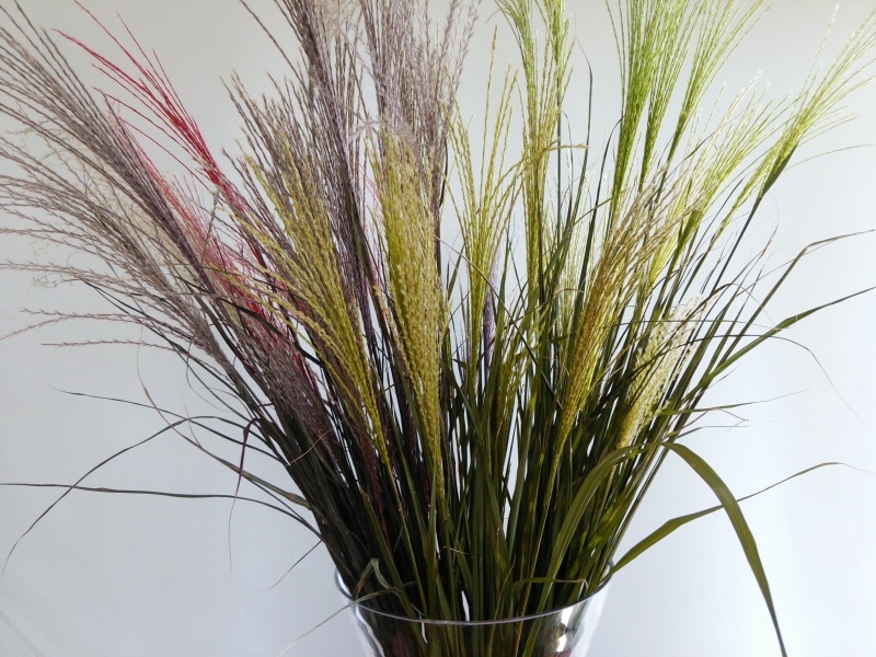 ススキのプリザ