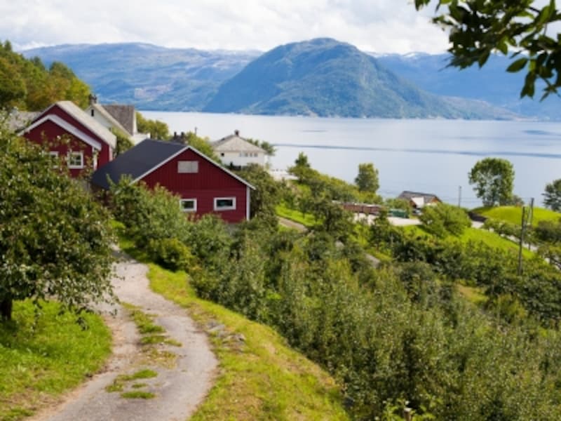 ノルウェーのフィヨルド観光ノールハイムスン村への旅 ノルウェー All About ノルウェーのフィヨルド観光ノールハイムスン村への旅 ノルウェー All About