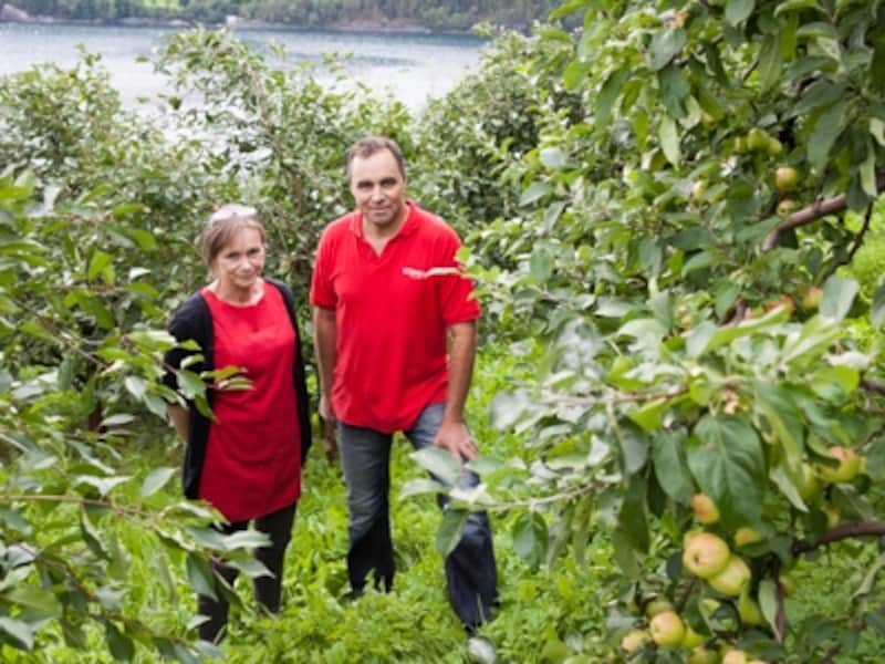 ハダンゲルフィヨルド果樹園