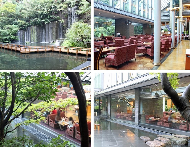 店内も窓からの眺めも大きく開けています