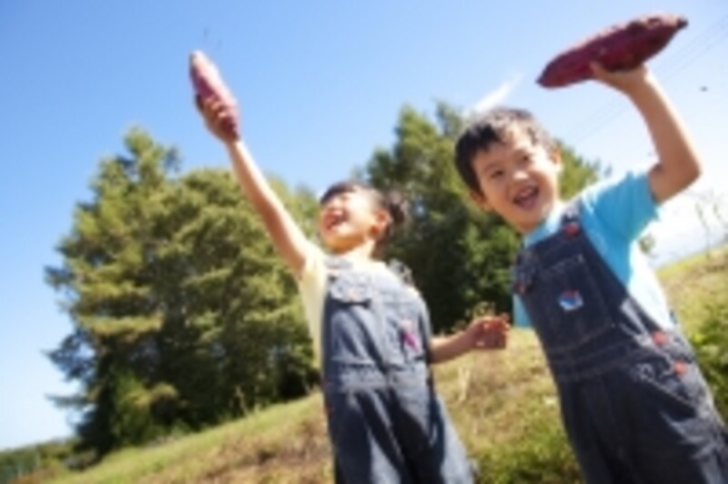 おひさまキッチン