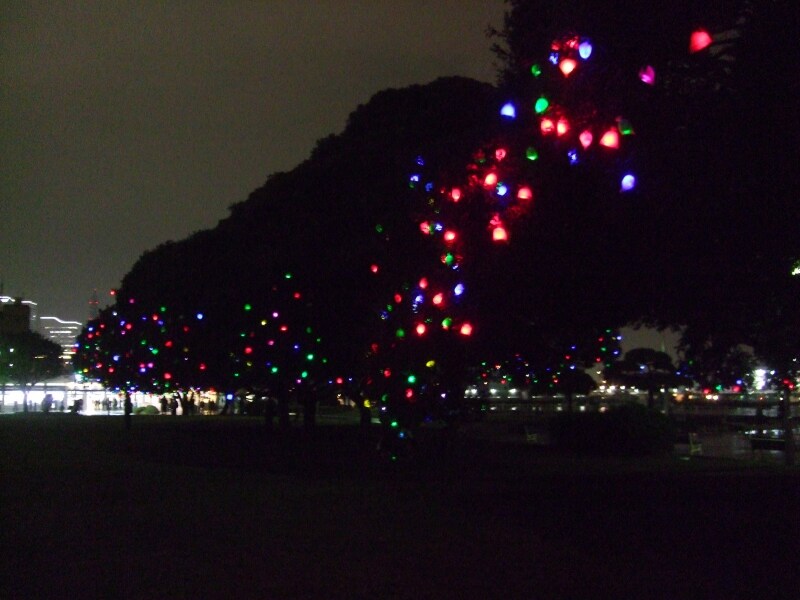 果実袋でLEDを包んだ「光の実」