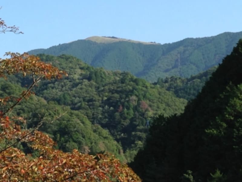 奥河内大会の岩湧山