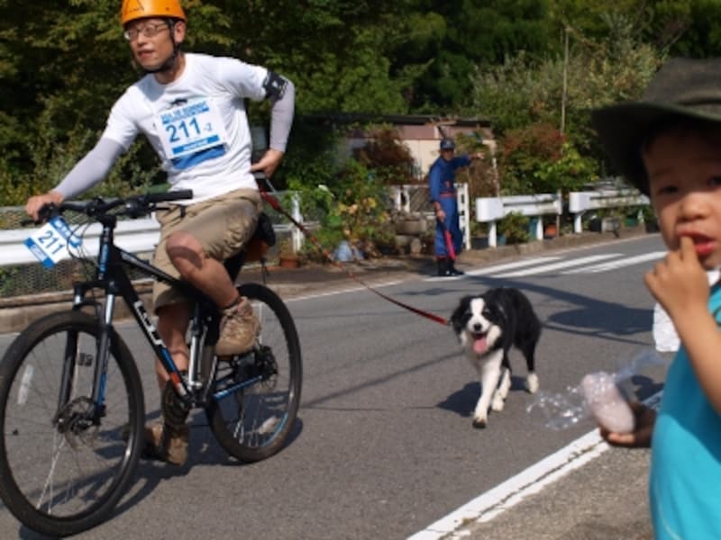 ワンちゃんと一緒に楽しむ参加者