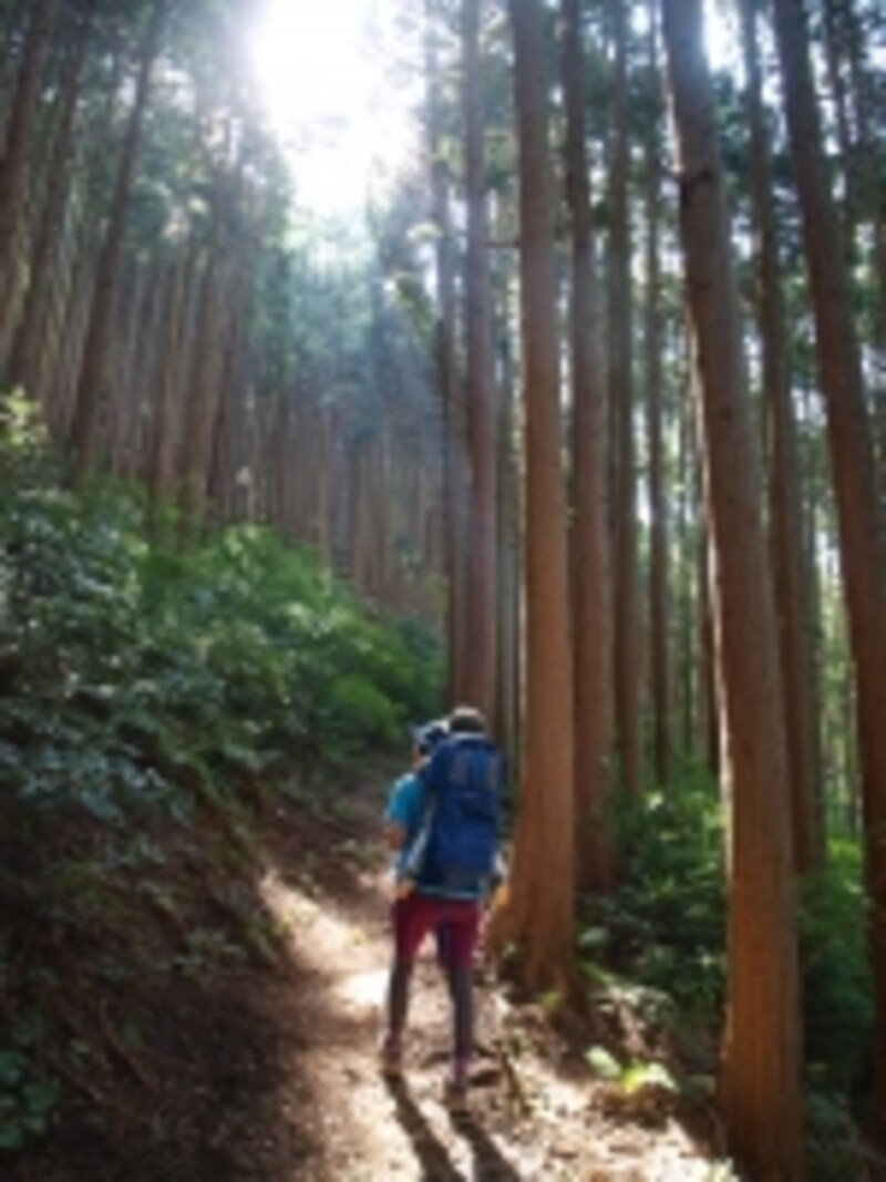 ベビーキャリーを背負って、山頂へ。