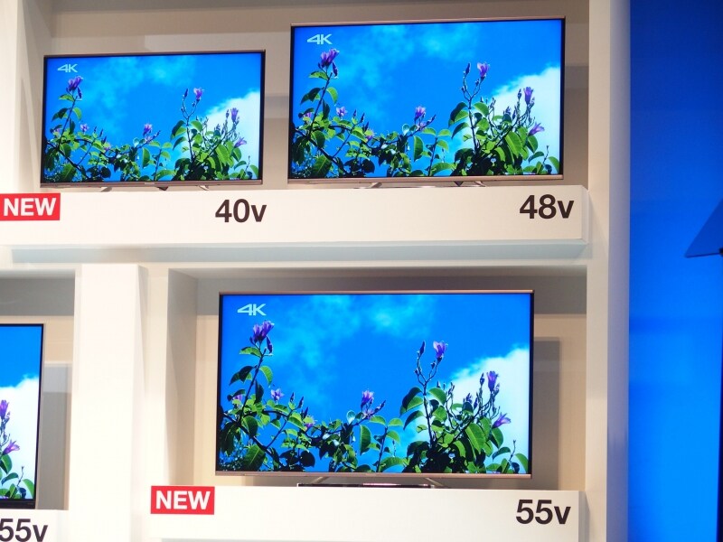 写真を通してみても、その美しさが分かる高詳細な画質だ